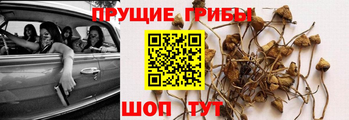 Псилоцибиновые грибы MAGIC MUSHROOMS  Вход с VPN  Галлюциногенные грибы прущие грибы  Старая Купавна 